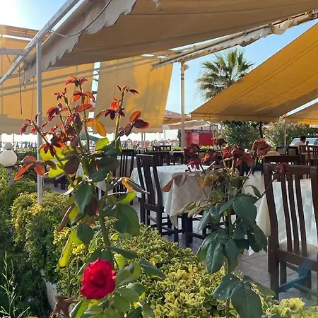 Hotel Bar Restorant Muca Ξενοδοχείο Golem (Tirana)